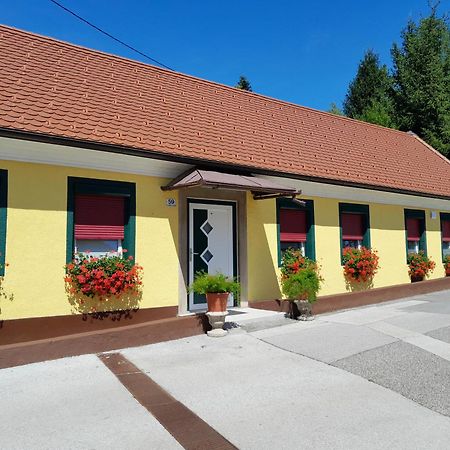 Hotel Pri Belokranjcu Novo Mesto Dış mekan fotoğraf
