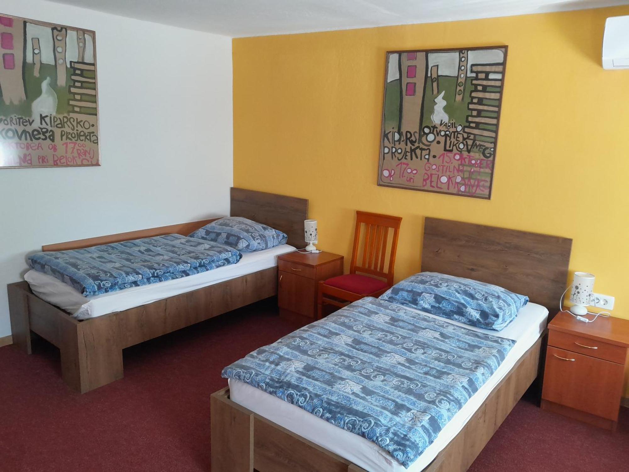 Hotel Pri Belokranjcu Novo Mesto Dış mekan fotoğraf
